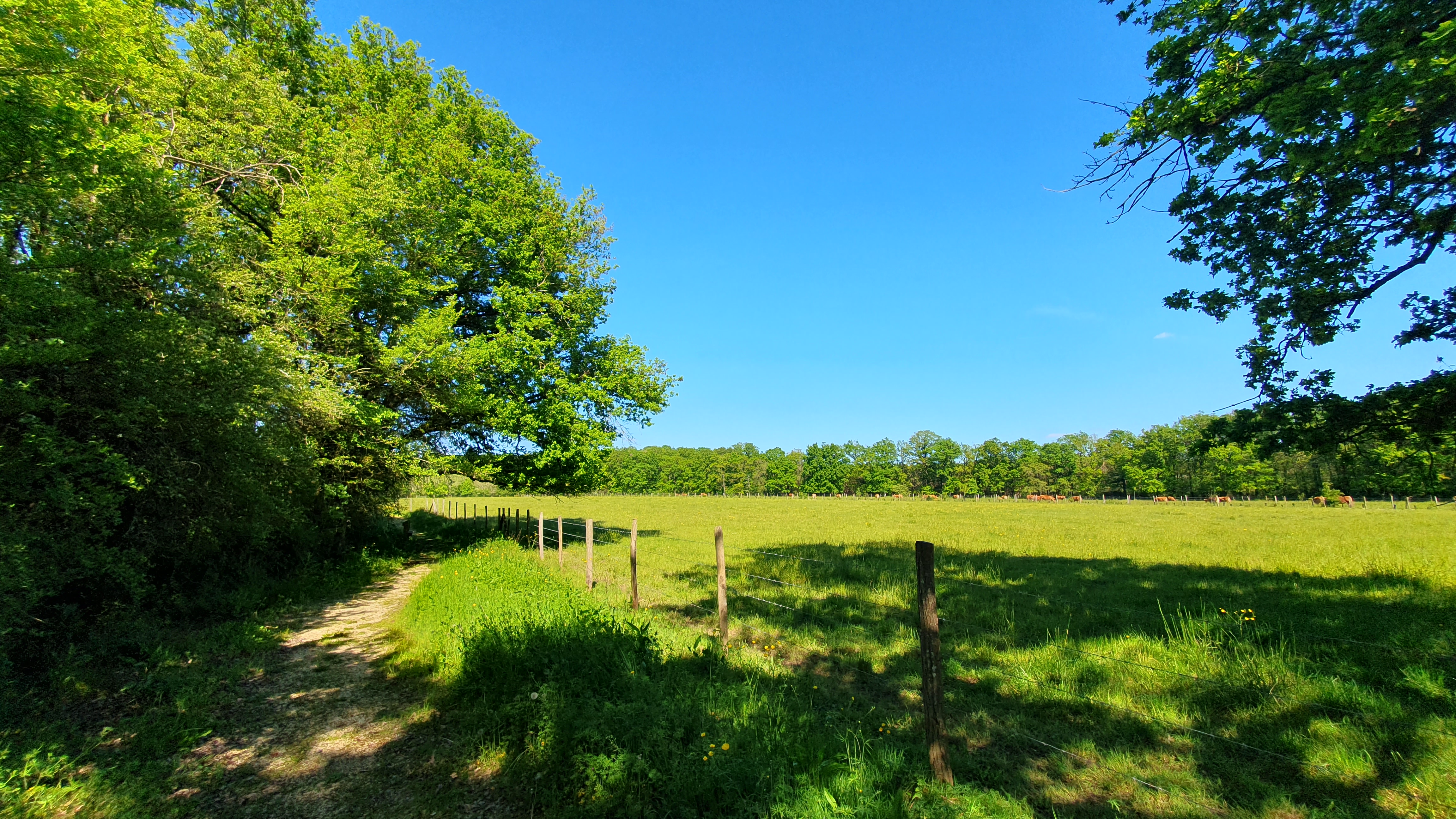 ©CPIE Seuil du Poitou