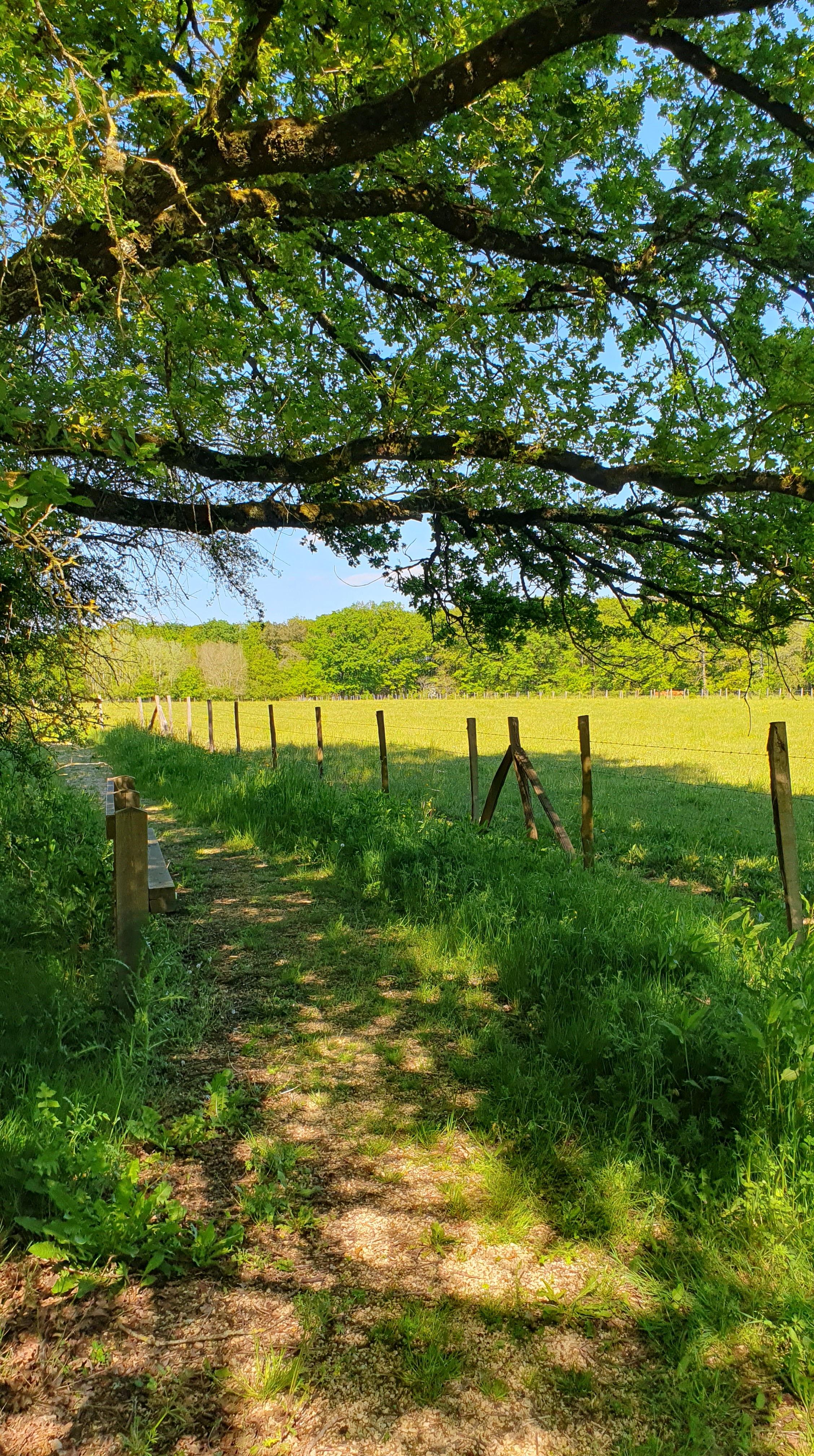 ©CPIE Seuil du Poitou