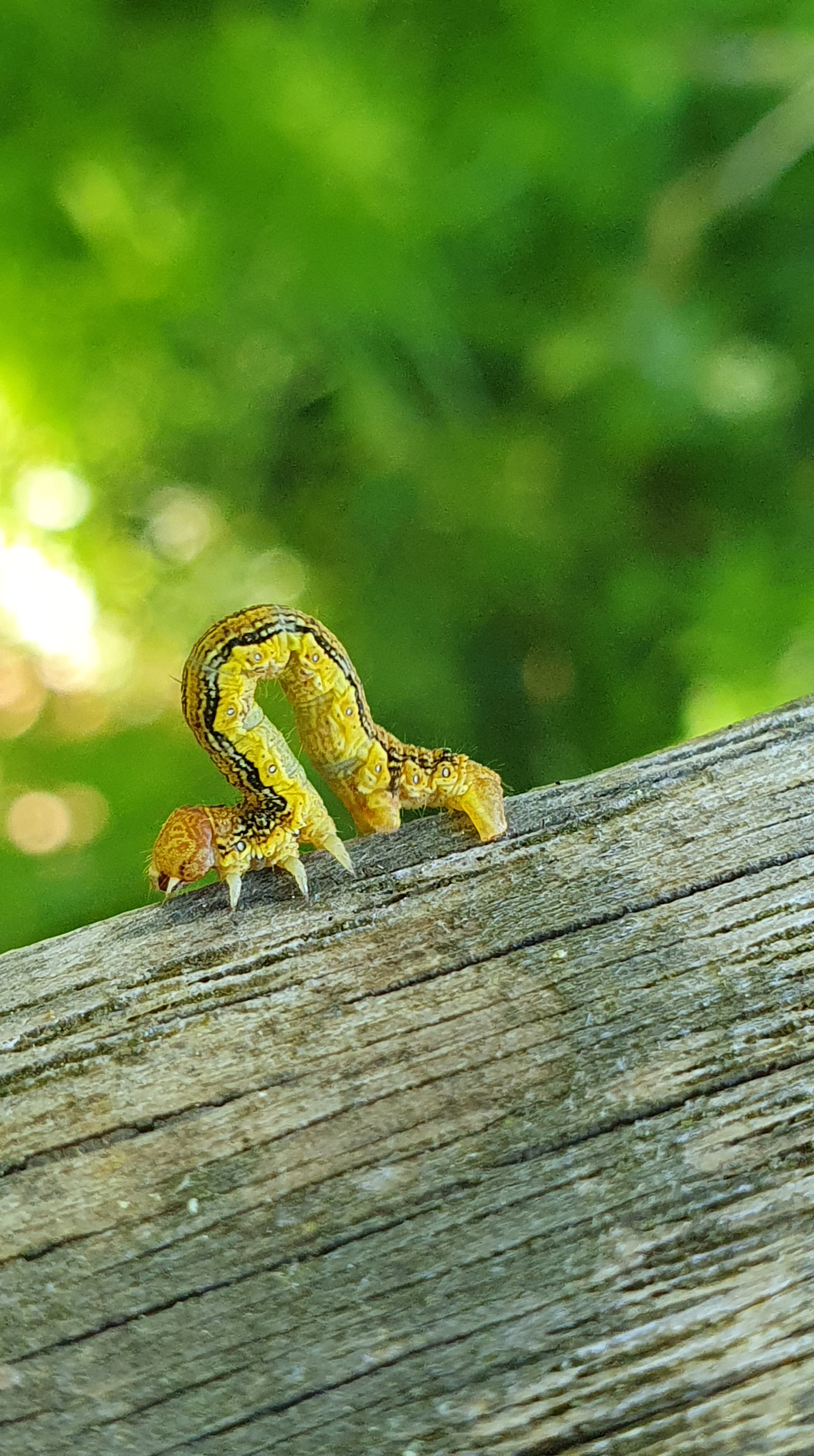 ©CPIE Seuil du Poitou