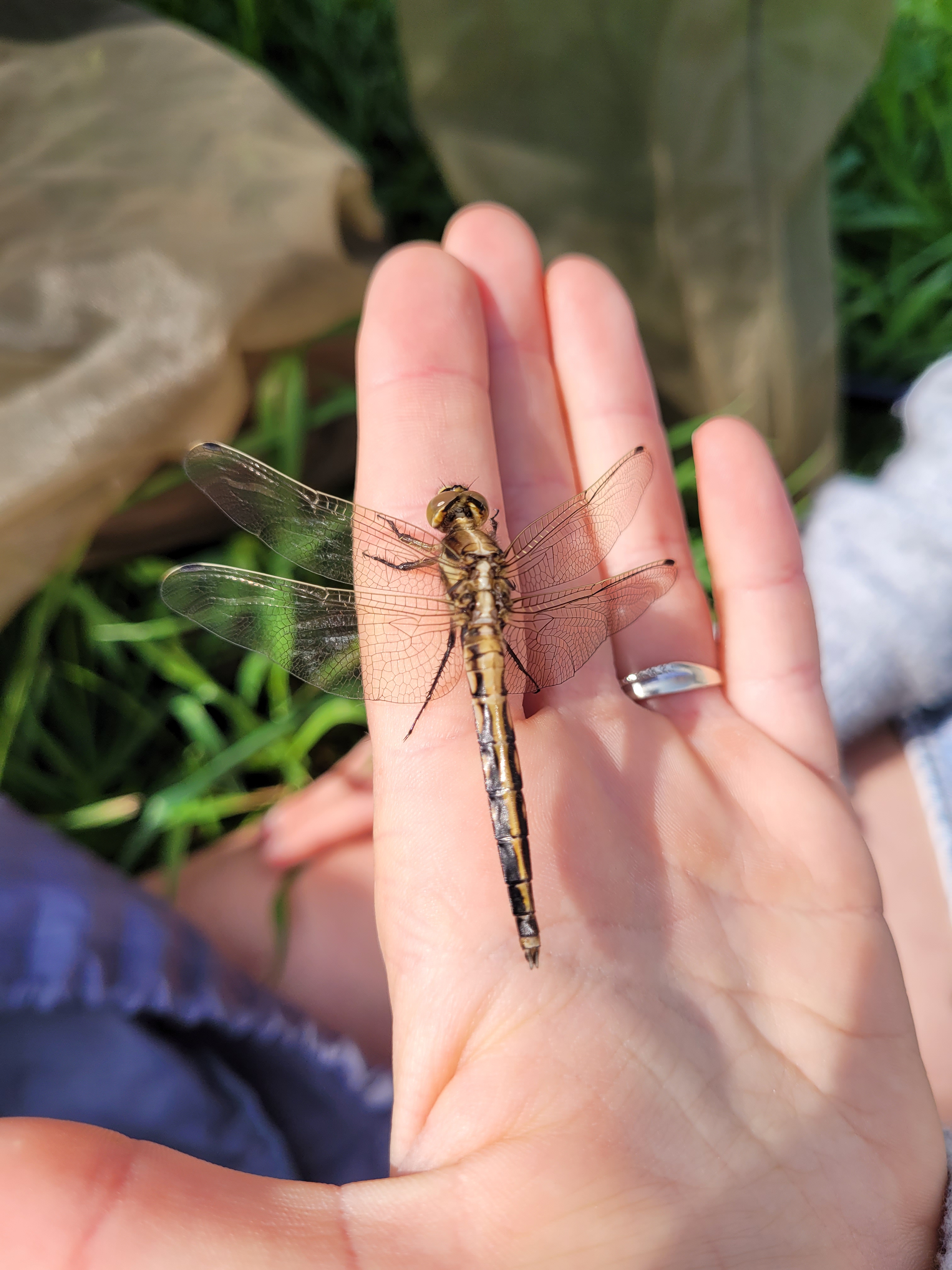 ©CPIE Seuil du Poitou