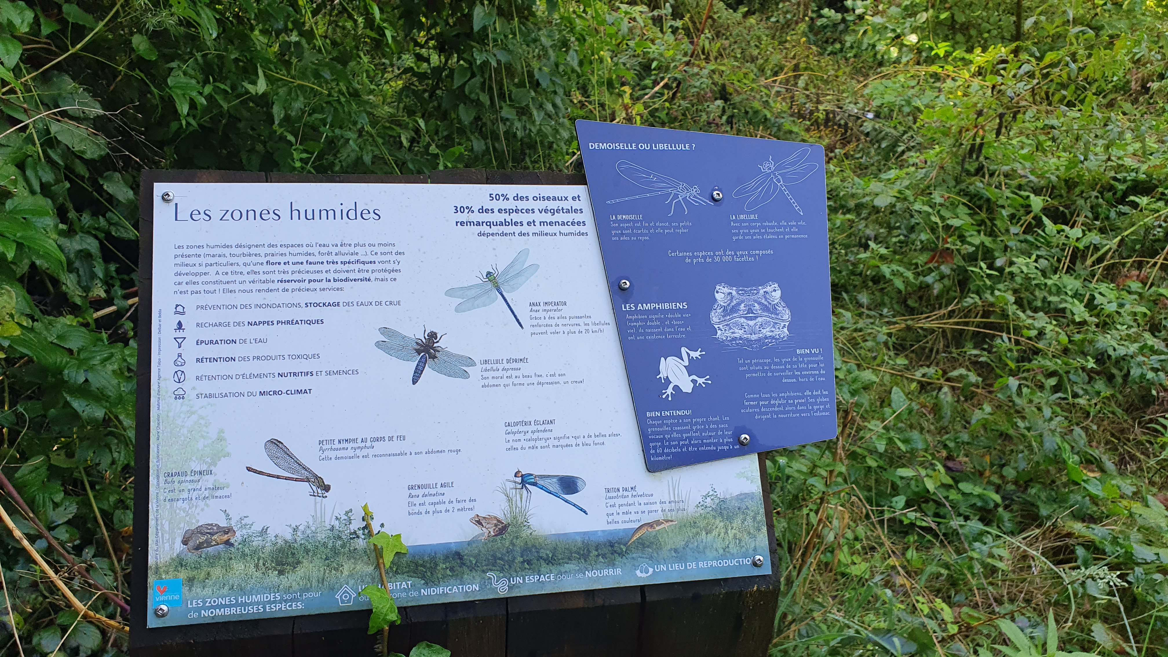 © CPIE Seuil du Poitou