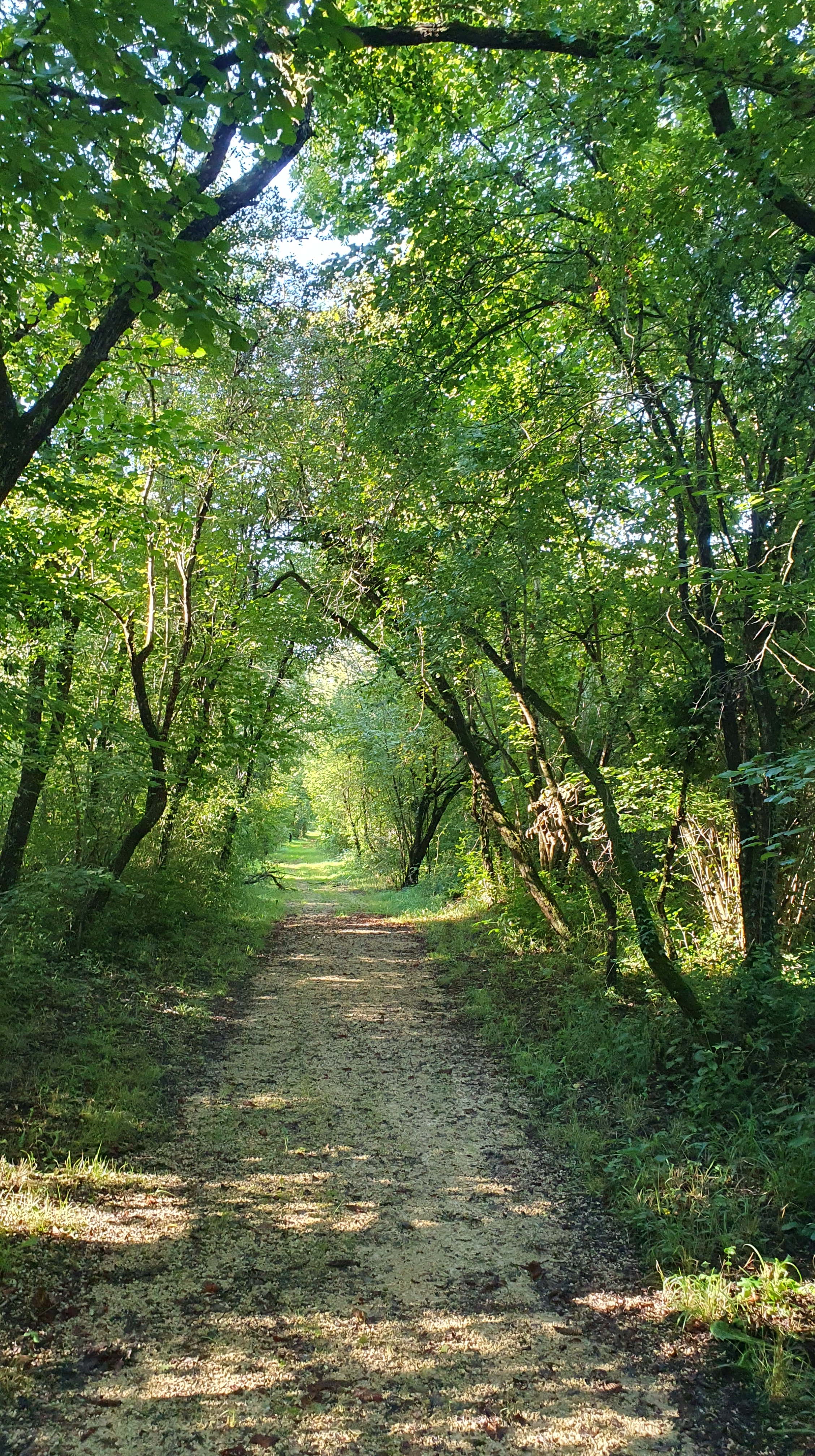 © CPIE Seuil du Poitou