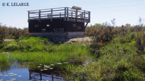 © K. Lelarge